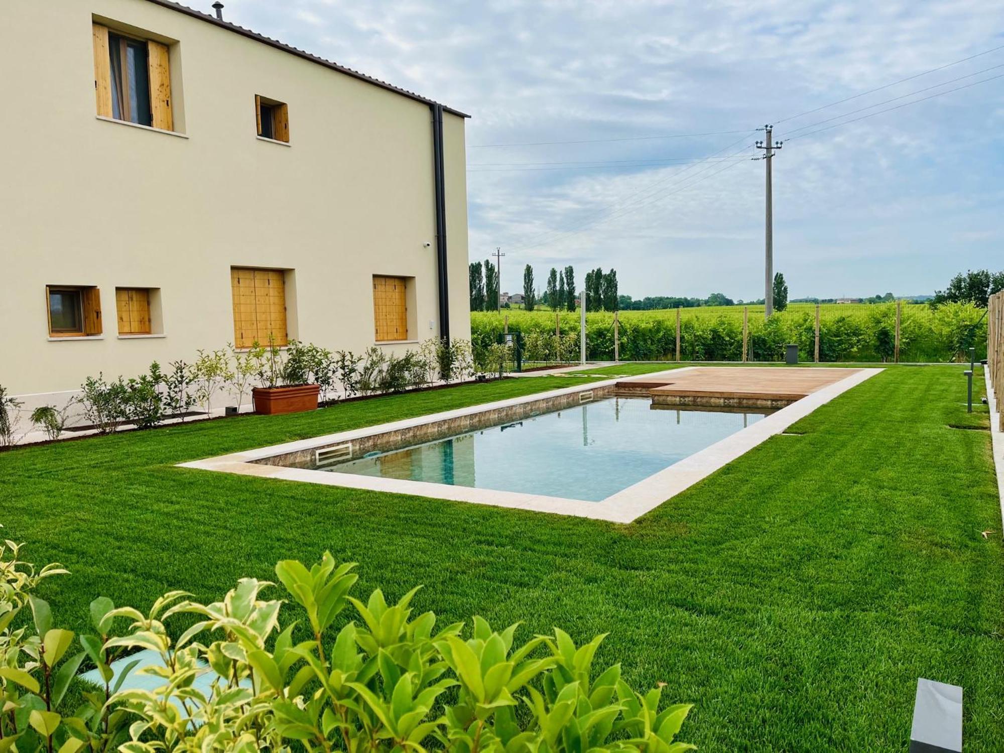 Il Vigneto