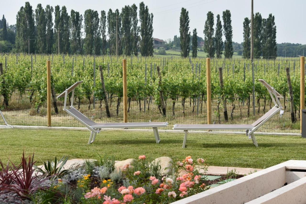 Il Vigneto Bed & Breakfast