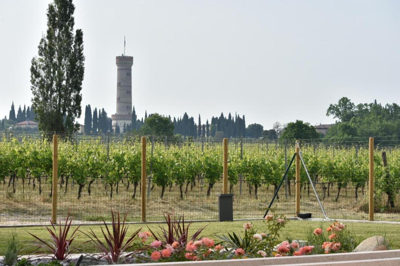 Il Vigneto Bed & Breakfast