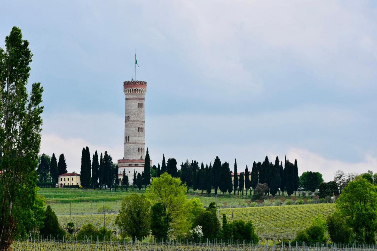 Bed & Breakfast Il Vigneto