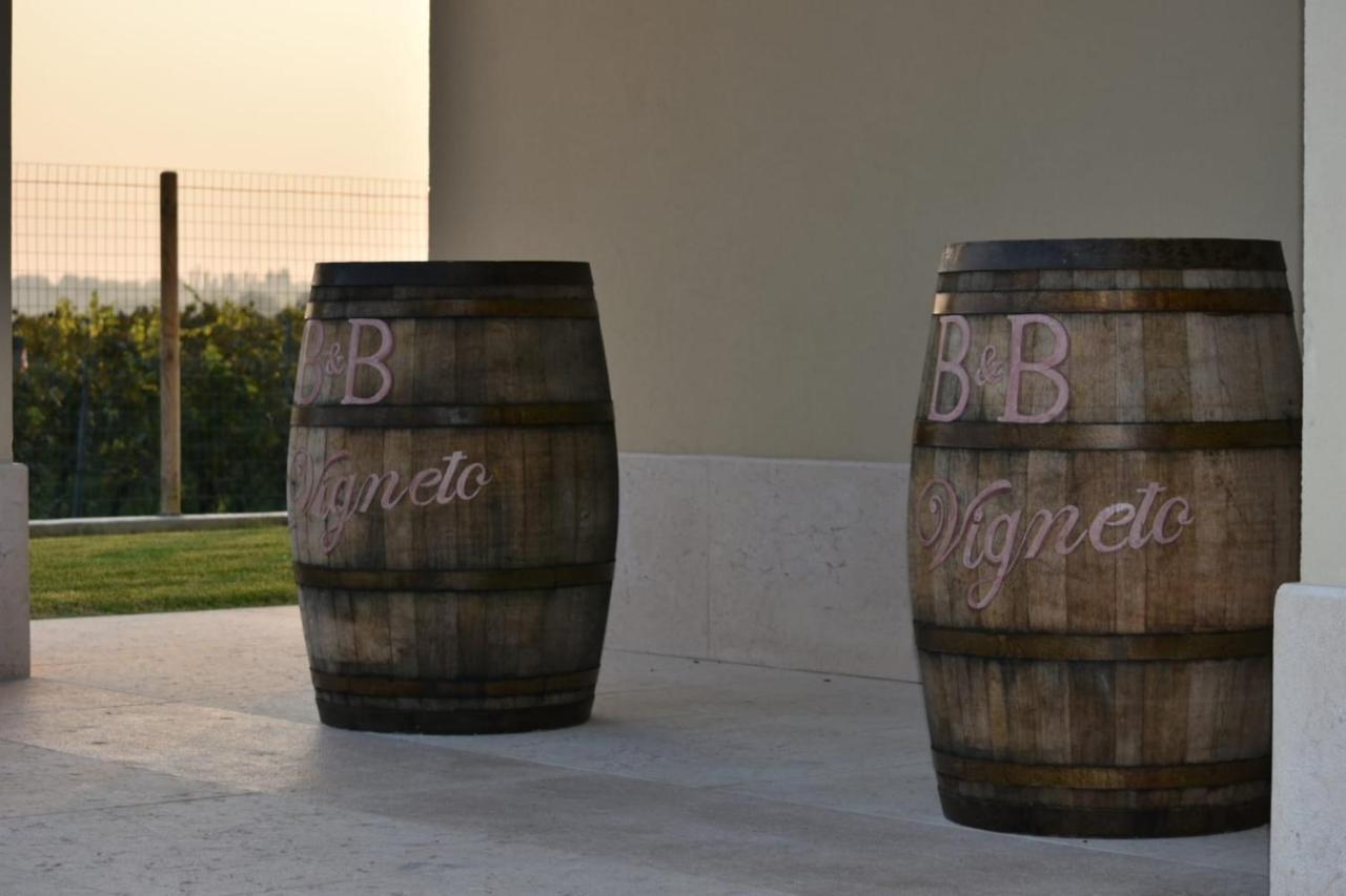 Il Vigneto Bed & Breakfast *