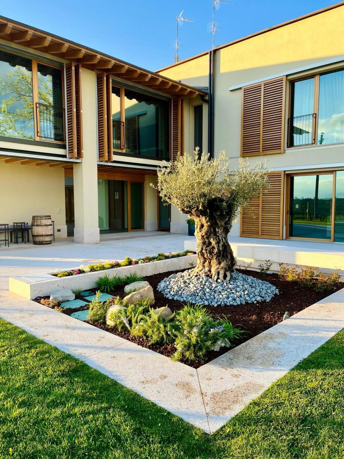 Bed & Breakfast Il Vigneto *
