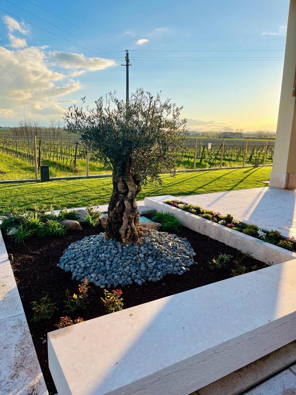 Bed & Breakfast Il Vigneto *